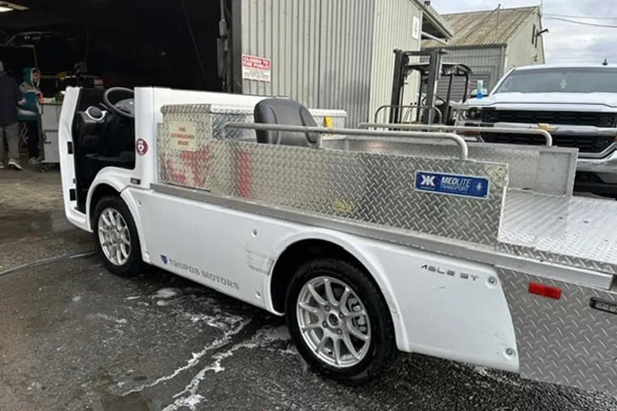 Customized electric fleet vehicles 